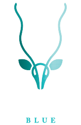Nyala Blue logo